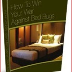 How To Win Your War Against Bed Bugs